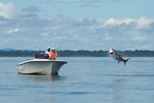 Top 10 Places To Visit In Liberia TraveltourXP
