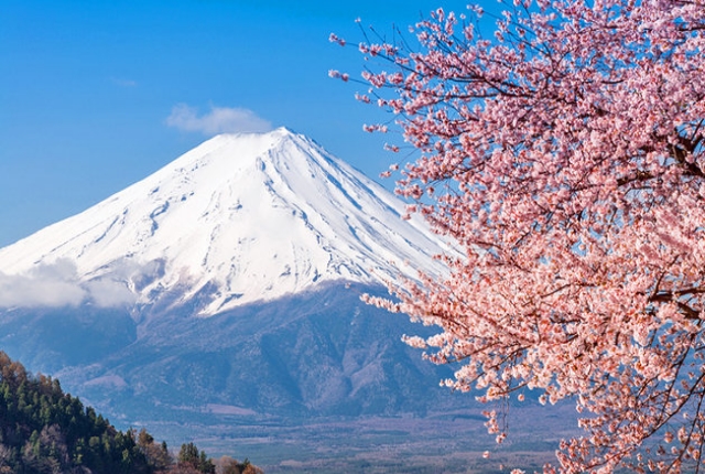Mount Fauji