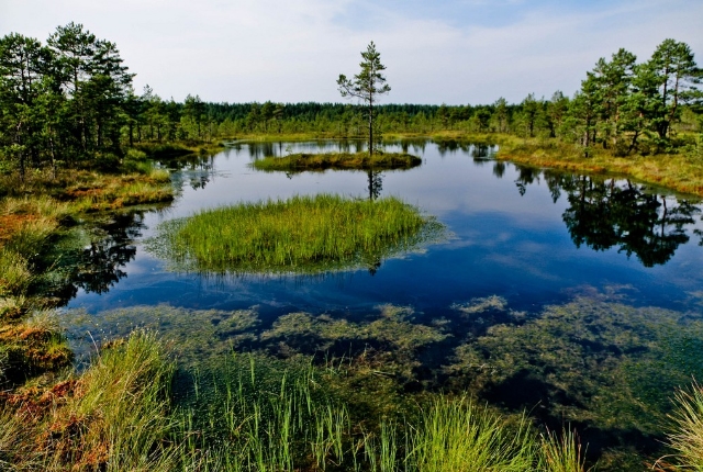 Soomaa National Park, Estonia, Finland