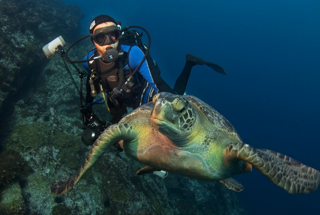 Discover The Remarkable Marine Life