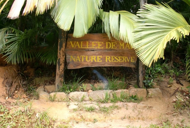 Explore Valle De Mai Nature Reserve