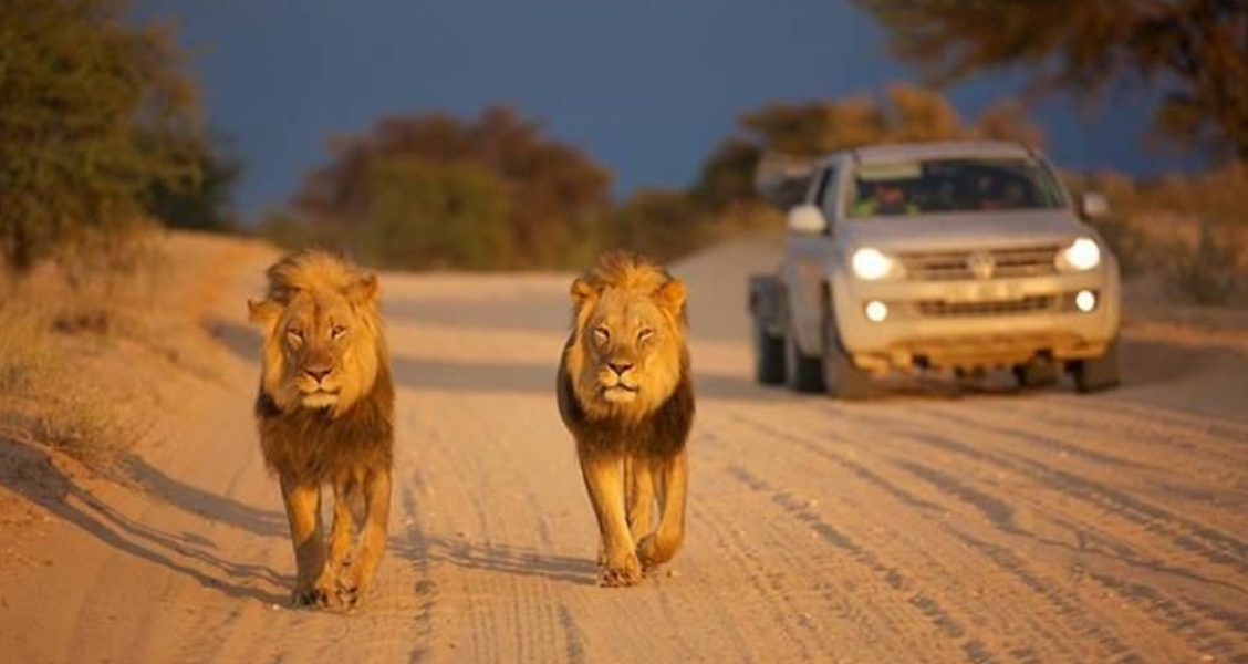 10 Best Game Reserves Of Africa