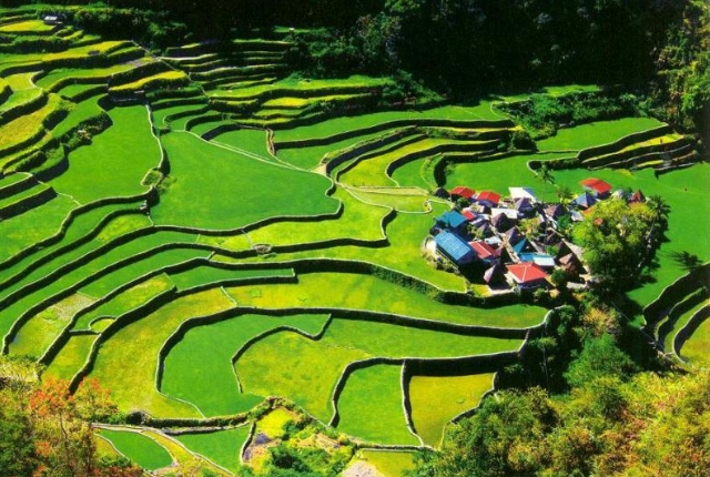Ifugao Rice Terraces Philippines
