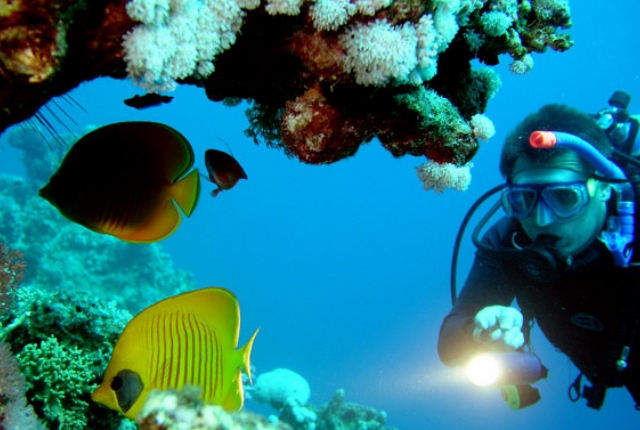 Scuba Diving And Snorkeling