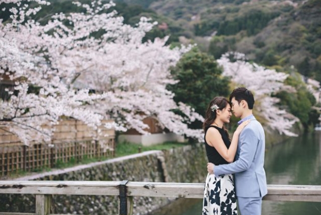 japan tour honeymoon package