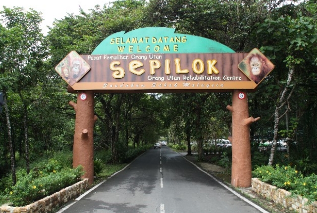 Sepilok Rehabilitation Centre