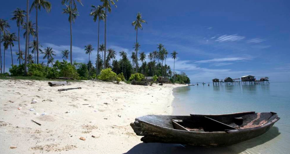 Борнео остров википедия в индонезии