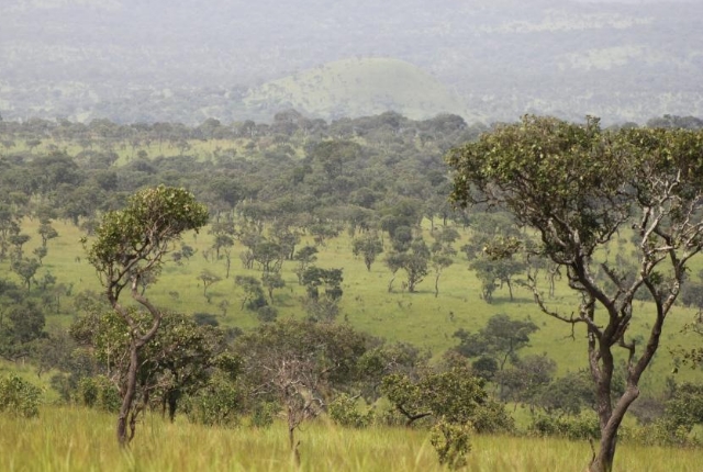 Bururi national reserve
