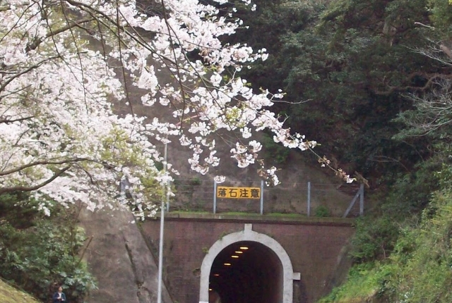 Gridley Tunnel