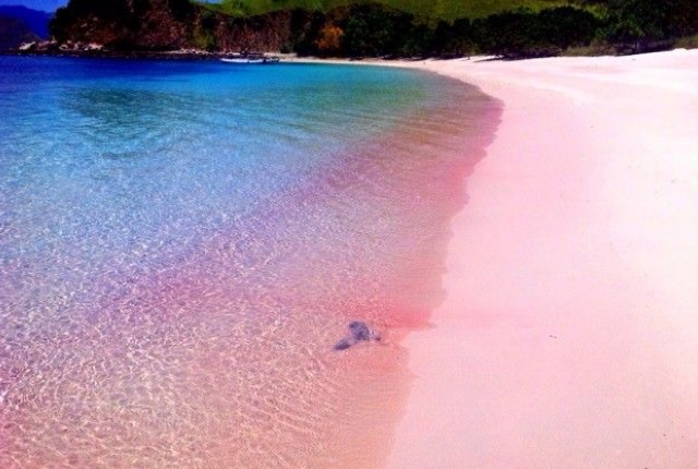 Tangsi Beach (Pink Beach)