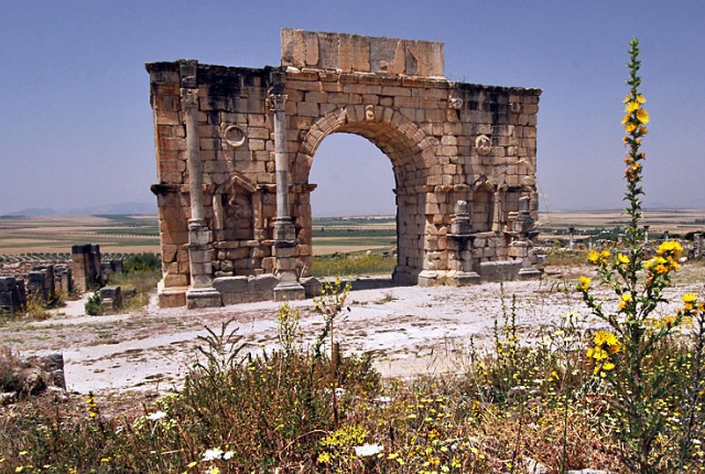 The Ruins Of Volubilis