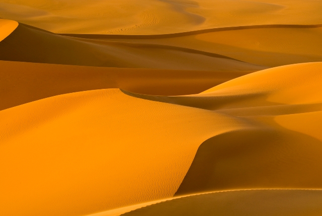 The desert of Grand Erg Oriental