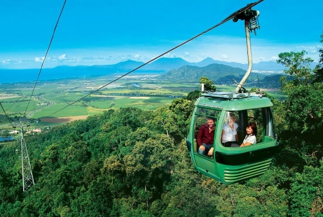Travel Aboard The Skyrail Rainforest Cableway