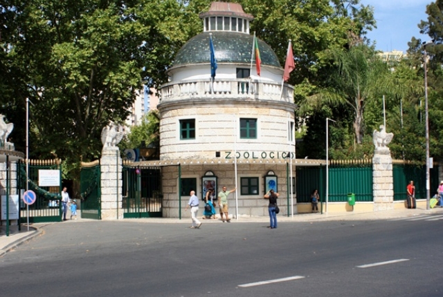 Visit The Lisbon Zoo