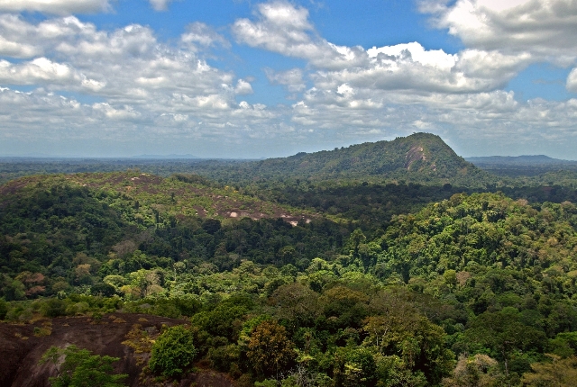 Central Suriname Nature Reserve