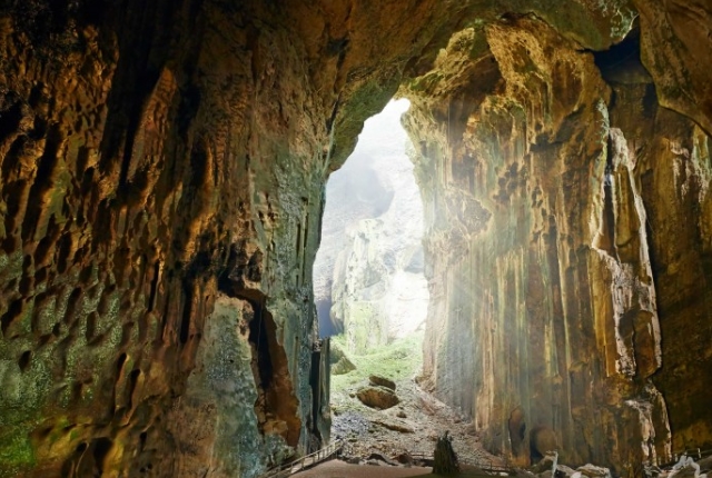 Explore Gomantong Cave