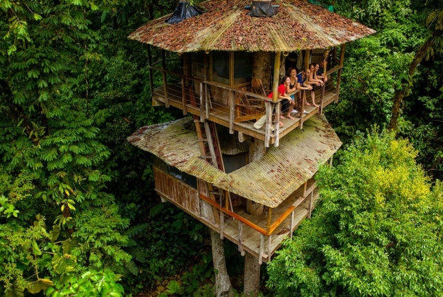 Finca Bellavista Treehouse, Costa Rica
