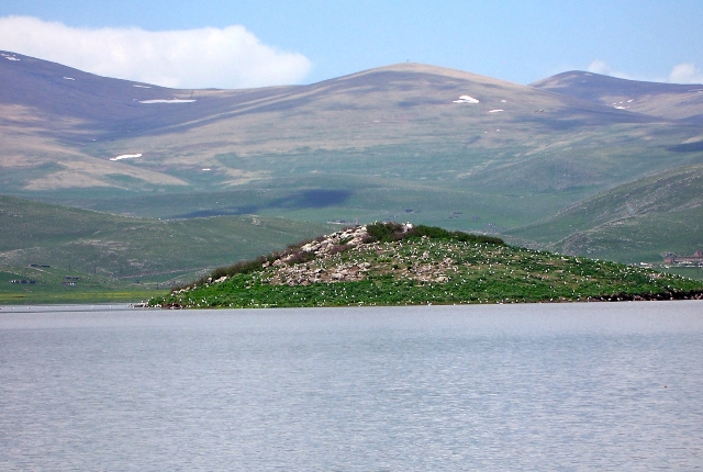 Lake Arpi