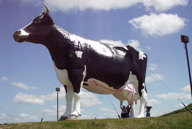 The Giant Cow Of Salem