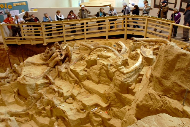 The Prehistoric Mammoth Site