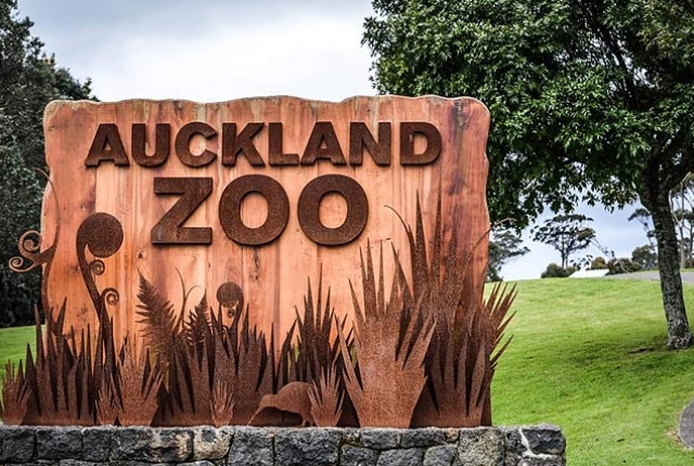 Visit Auckland Zoo