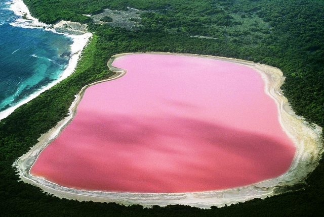 pink-lake