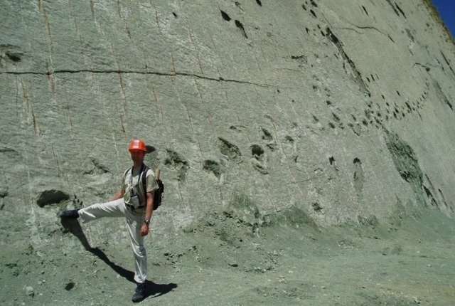 The Dinosaur Footprints Of Cal Orko