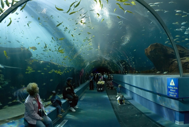 tour-palau-aquarium