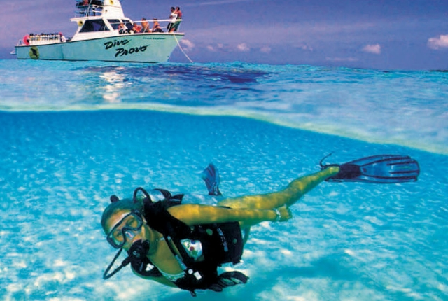 go-for-scuba-diving