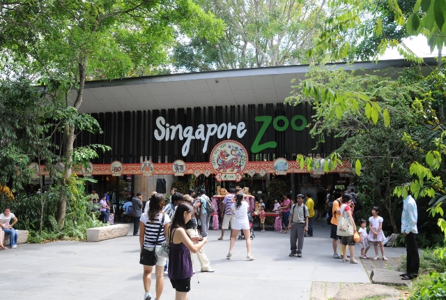 singapore-zoo-singapore