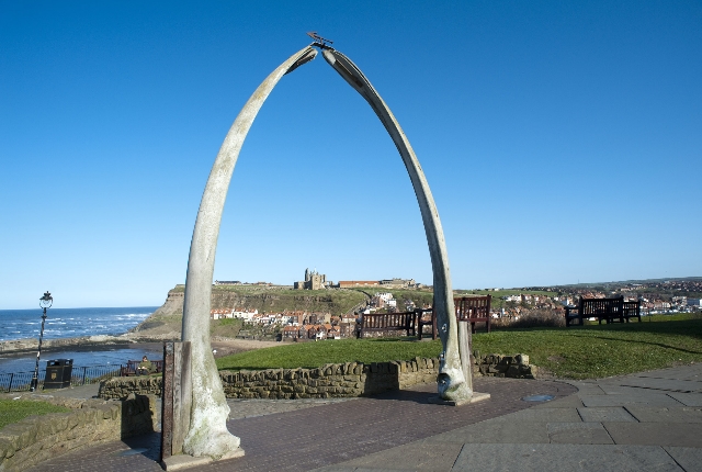 whalebone-arch