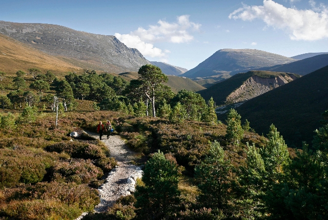 Cairngorms National Park In Scotland
