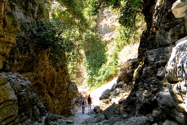 Hike Along Imbrose Gorge