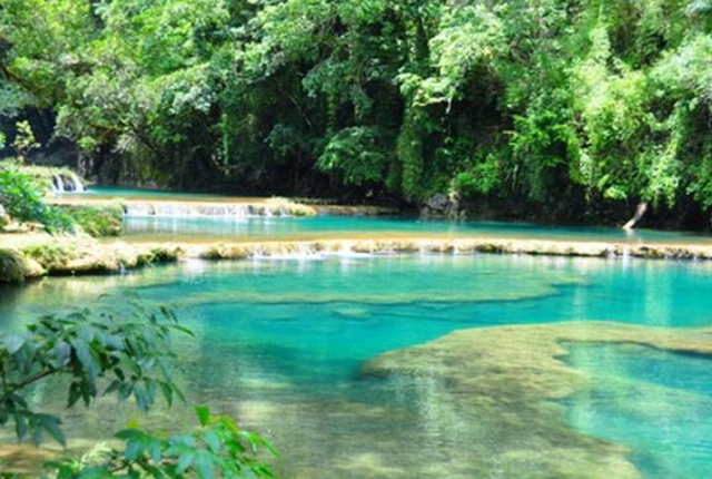 Swim In Attractive Green Pools