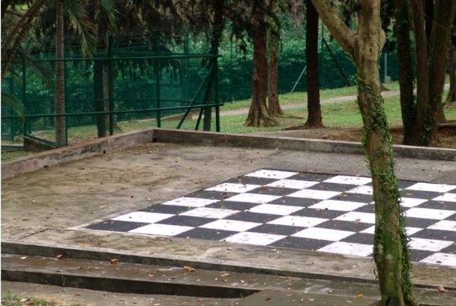 The Human Chess Board