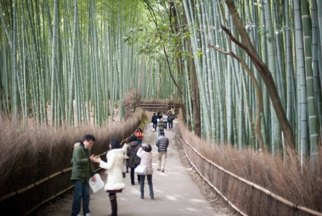 Arashimaya Bamboo Forest, Japan