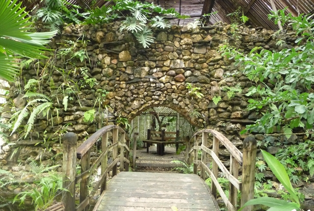 Discover Various Plants At Belize Botanic Gardens