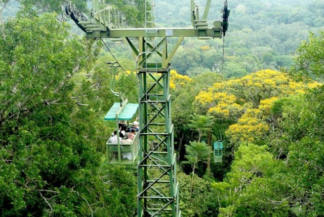 Explore Gamboa Tropical Rainforest Reserve