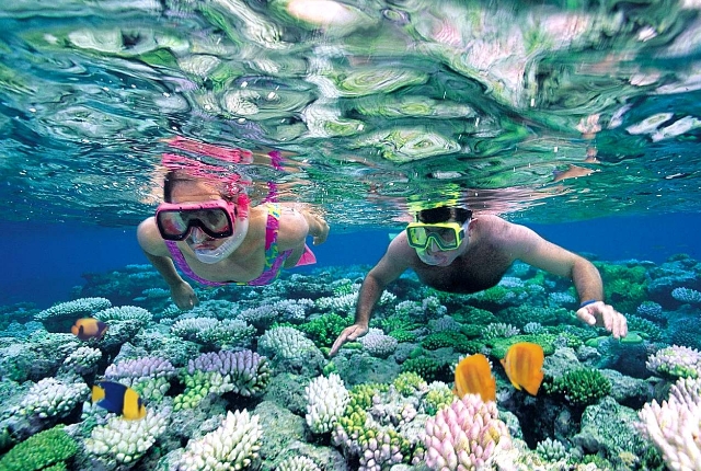 Snorkeling And Diving