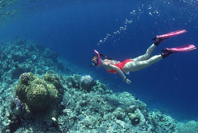 Dive And Snorkel In Water