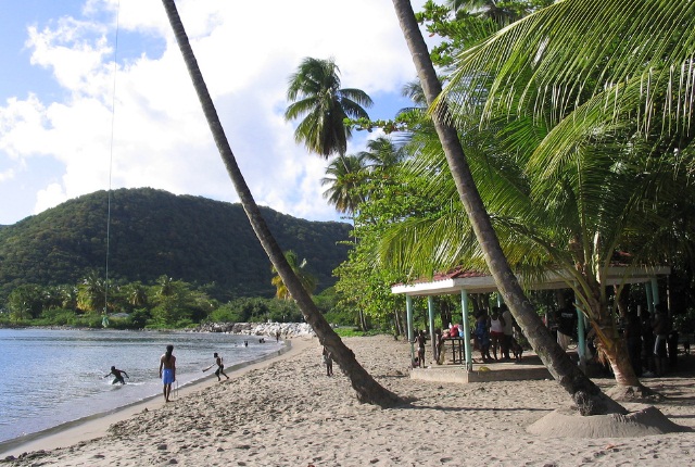 The Sublime, Purple Turtle Beach