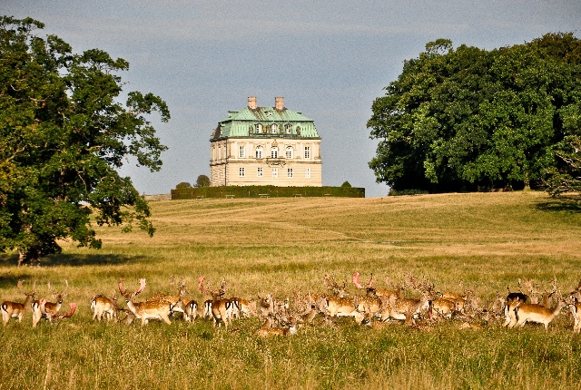Par Force Hunting Landscape Of Denmark