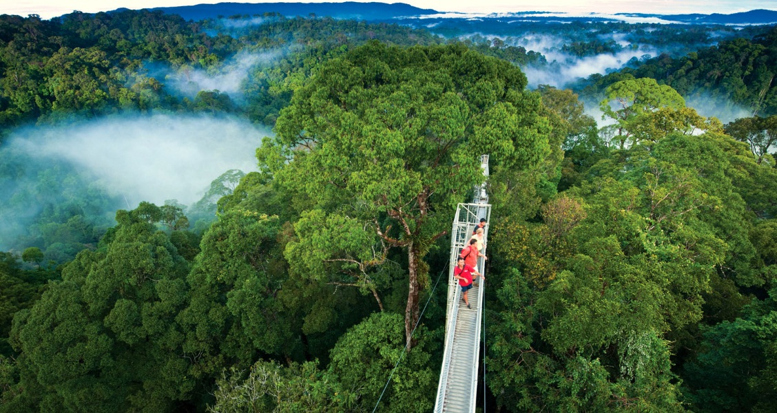 10 Amazing National Parks In Malaysia - TravelTourXP.com