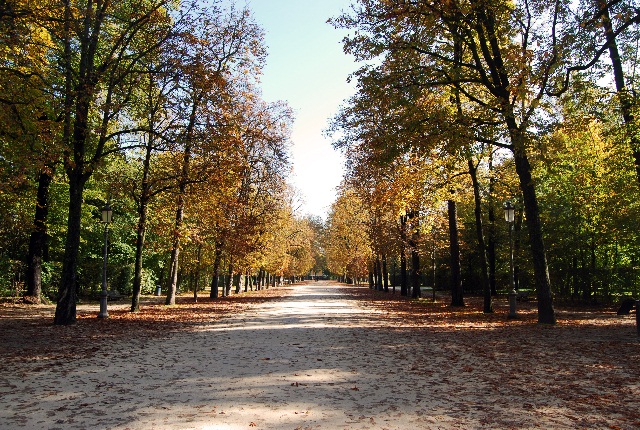 Parco Ducale