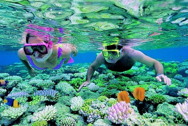 Snorkeling In Phi Phi Islands
