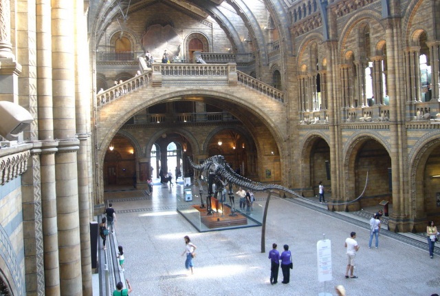 Tour Maastricht Natural History Museum