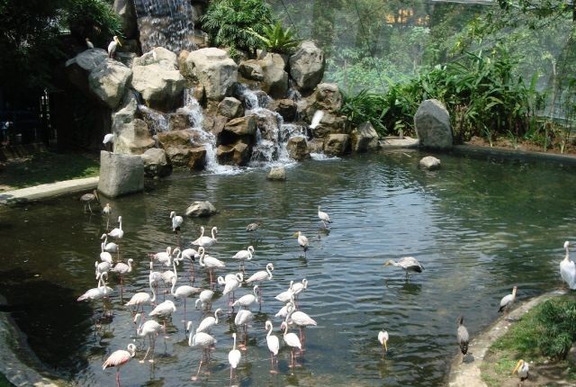 Kuala Lumpur Bird And Butterfly Park